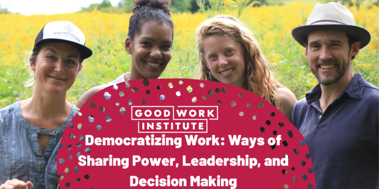Democratizing Work: Ways of Sharing Power, Leadership and Decision ...